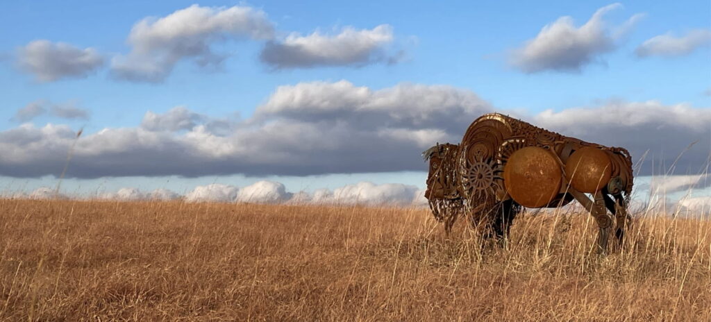 About Us - Bison Ridge Recycling